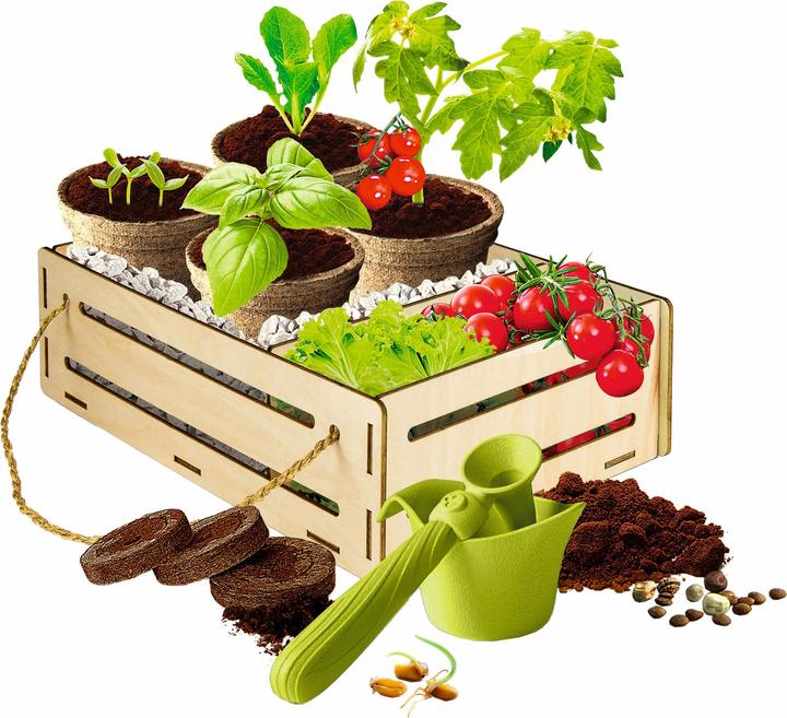 Actual product image Clementoni My Garden Set