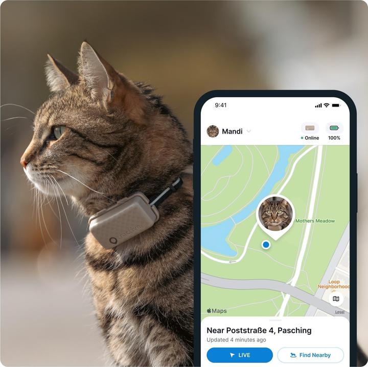 Actual product image Tractive GPS Mini (One size, Cat, General)