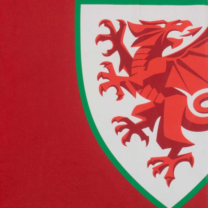 Produktbild FA Wales TShirt (L)