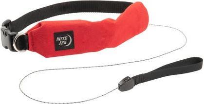 Nite Ize RadDog™ All-In-One Collar + Leash S