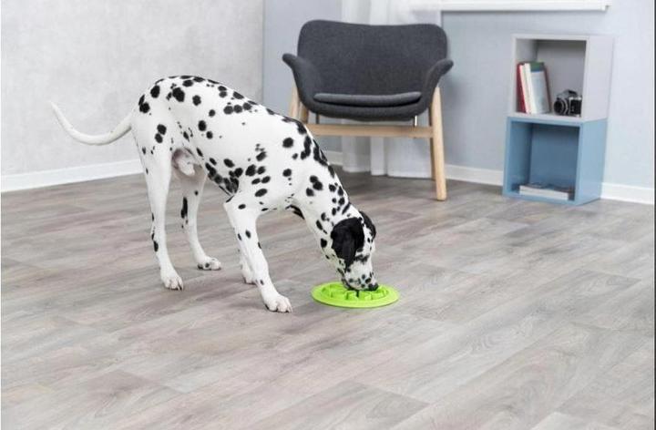 Image du produit Trixie slow feed