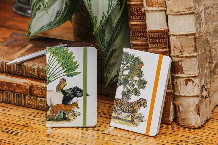 Image du produit Clairefontaine Animalis, Carnet rembordé rigide A6 10,5x14,8 cm, 96 pages, ligné, pochette à soufflet au dos, ferme (A6, Règle spéciale, Couverture rigide)