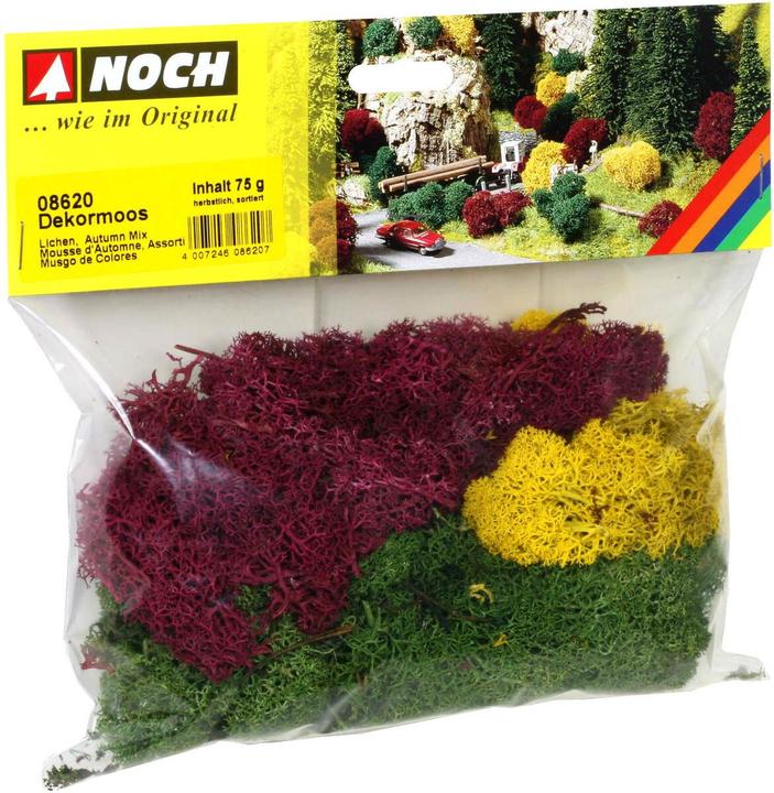 Produktbild Noch Moos 8620 Herbst-Mix