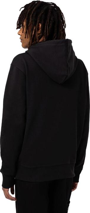 Immagine prodotto Dickies Mount Vista Hoodie (L)