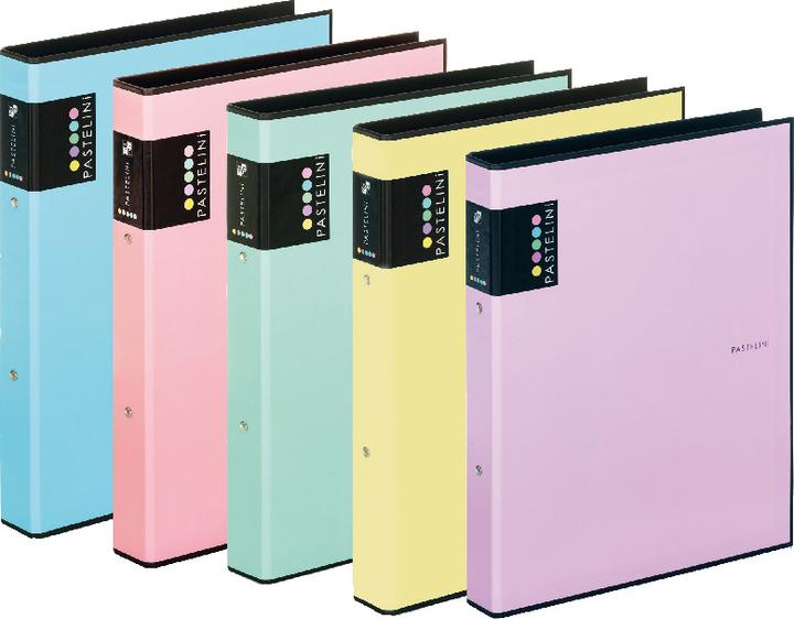 Immagine prodotto Pastelini Quaderno ad anelli in catone (A4, 40 mm, 1 Pezzo/i)