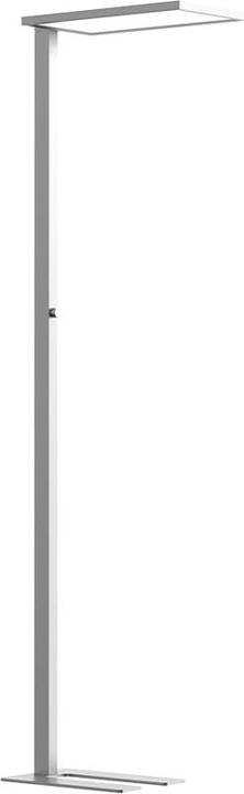 Immagine prodotto Contini Prolux (7500 lm)