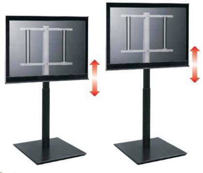 Image du produit Audioraq Pied de télévision SW (50", 40 kg)