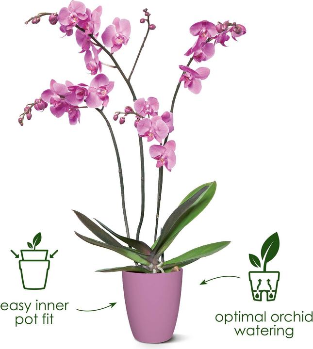 Produktbild Elho Brussels Orchidee Hoch (13 cm)