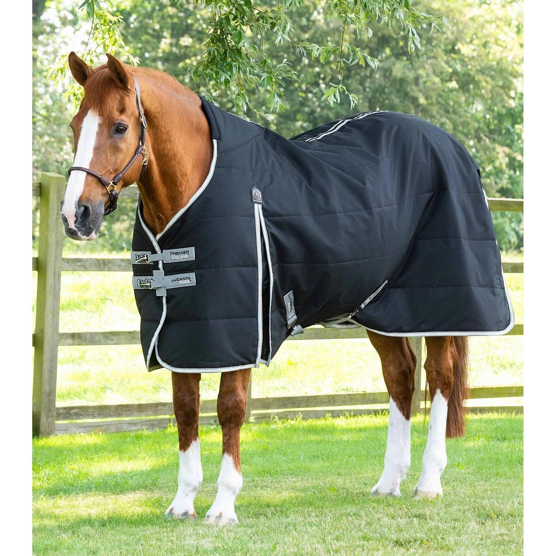 Premier Equine, Pferdedecke, (175 cm)