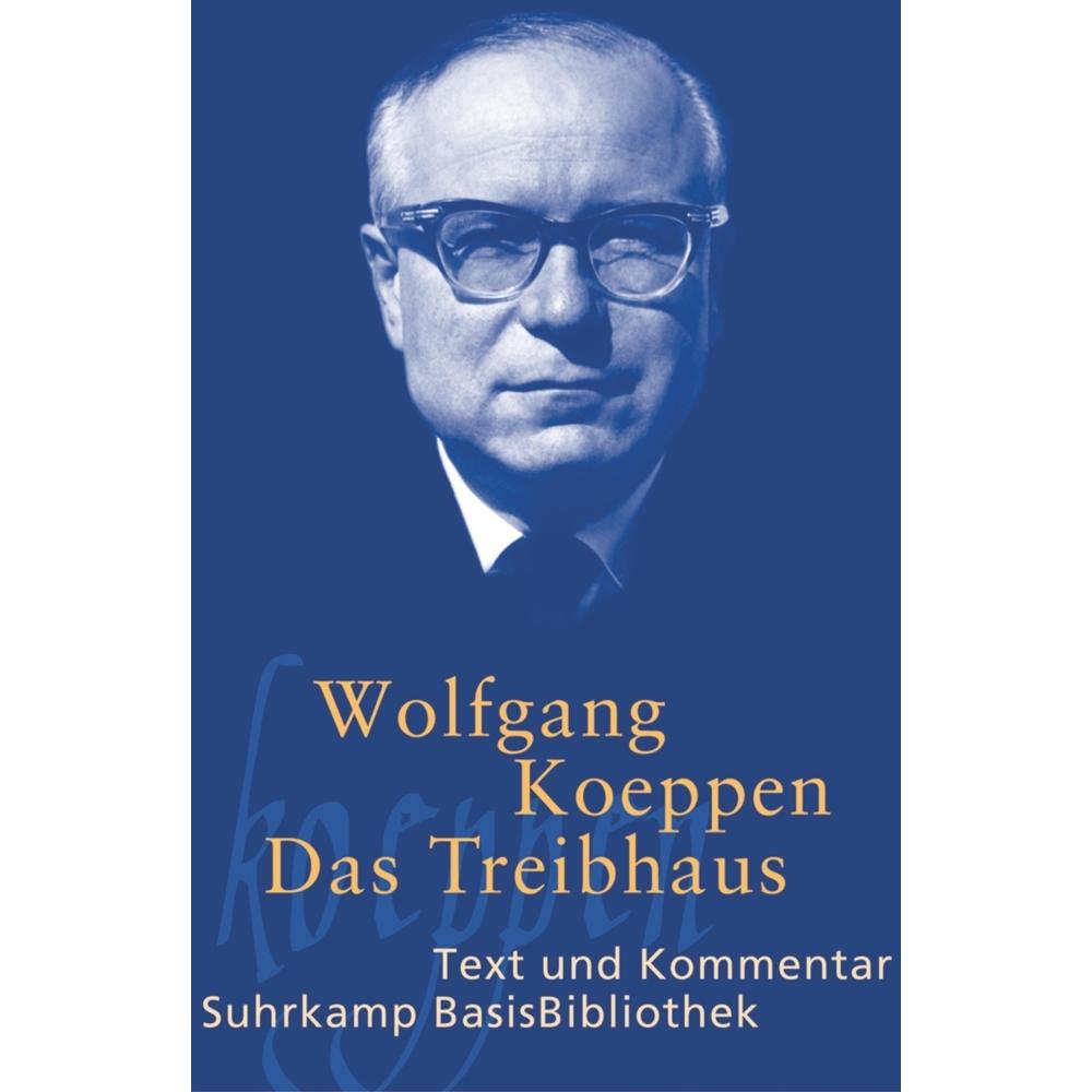 Das Treibhaus, Schulbücher von Wolfgang Koeppen, Arne Grafe