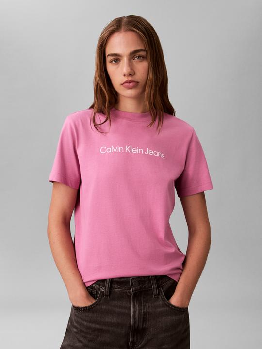 Actual product image Calvin Klein Jeans A- Inst. Logo Classic Tee Ss (XS)