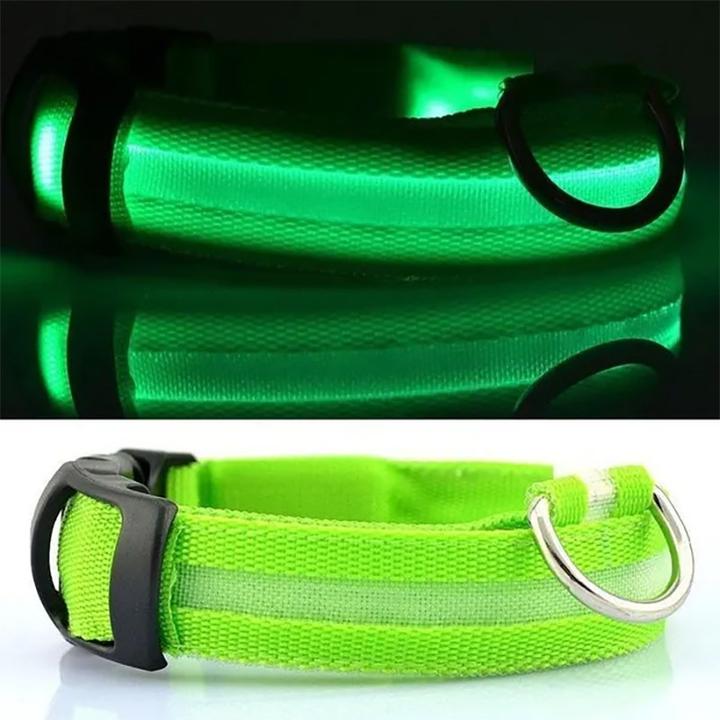 Image du produit Cbx Collier de chien à LED rechargeable taille M - 40-46cm (M, Chien)