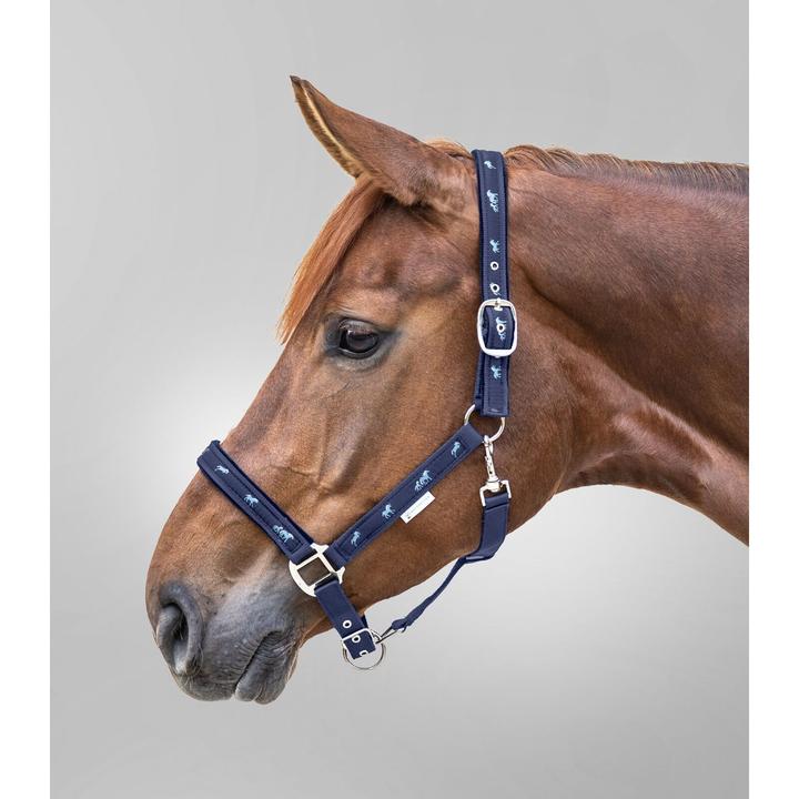 Image du produit Waldhausen Licol pour cob avec déco petits chevaux