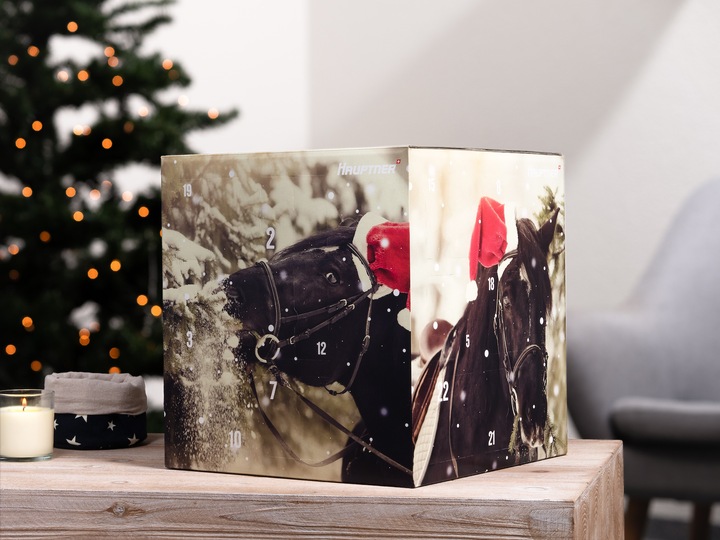 Actual product image Hauptner X-Mas Advent Calendar 2019 Horse