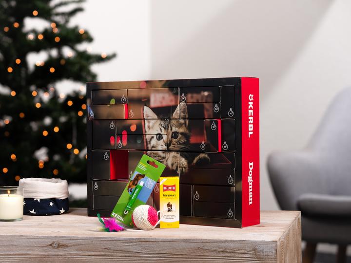 Actual product image Hauptner X-Mas Advent Calendar 2019 Cat