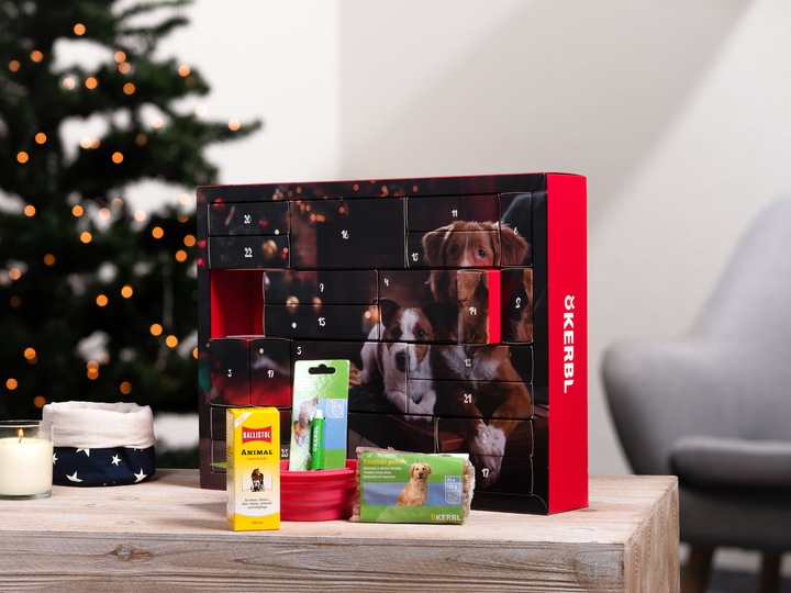 Actual product image Hauptner X-Mas Advent Calendar 2019 Dog