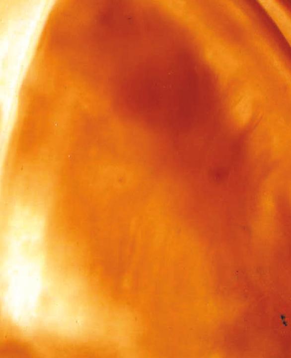 Image du produit Hobbyring Encaustic blocs de cire, set de 16, jaune ocre