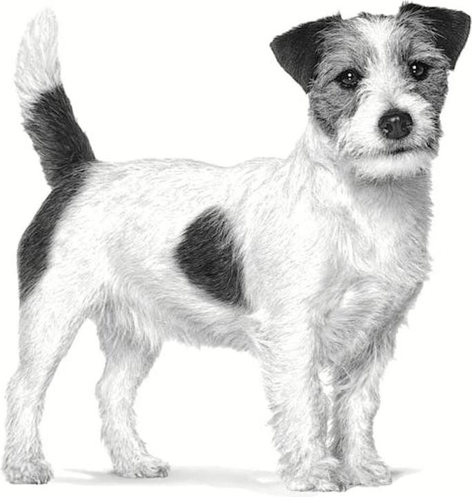 Produktbild Royal Canin Gastrointestinal (Adult, 1 Stk., 1500 g)