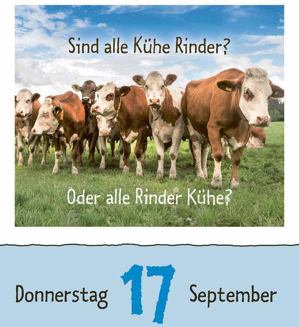 Produktbild Wie faul ist das Faultier? 2026 (12 x 16 cm)