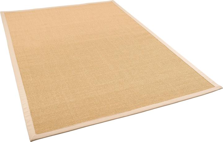 Image du produit Pergamon Tapis en sisal Natura Classique avec bordure (120 x 170 cm)
