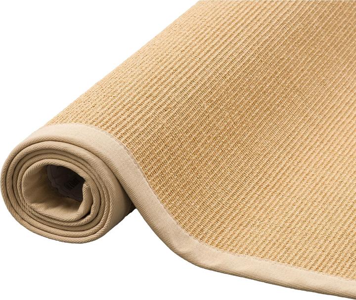 Image du produit Pergamon Tapis en sisal Natura Classique avec bordure (120 x 170 cm)