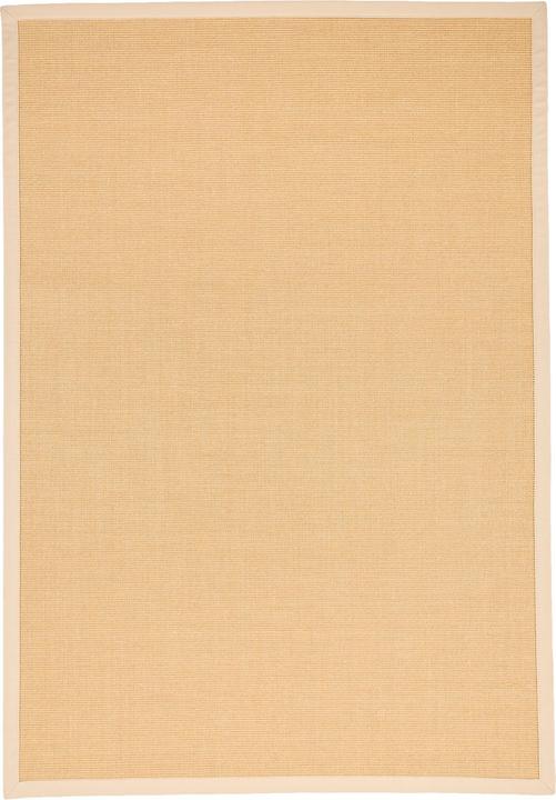 Image du produit Pergamon Tapis en sisal Natura Classique avec bordure (120 x 170 cm)