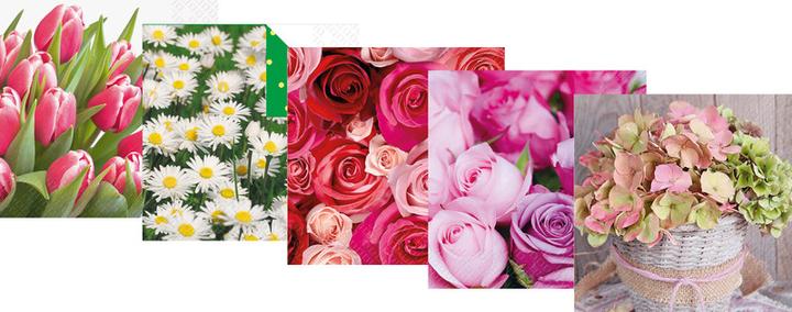 Produktbild Stewo Servietten Everyday (33 x 33 cm)