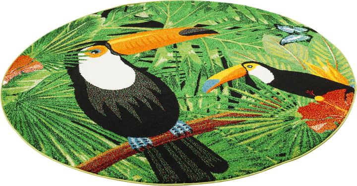 Produktbild Pergamon Designer Teppich Faro Tropical Tukan (160 x 160 cm)