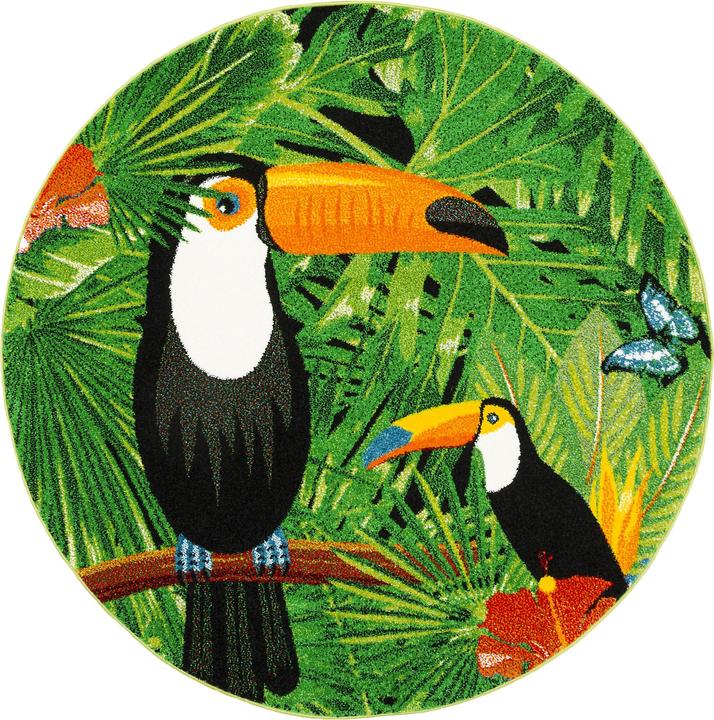 Produktbild Pergamon Designer Teppich Faro Tropical Tukan (160 x 160 cm)