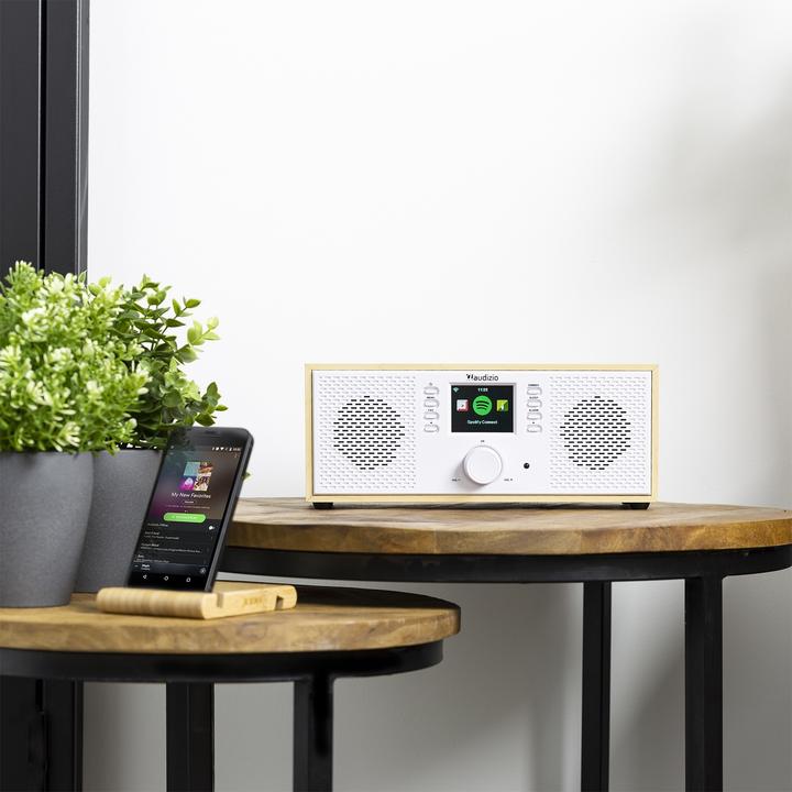 Actual product image Audizio Rimini (Internet radio, Bluetooth)