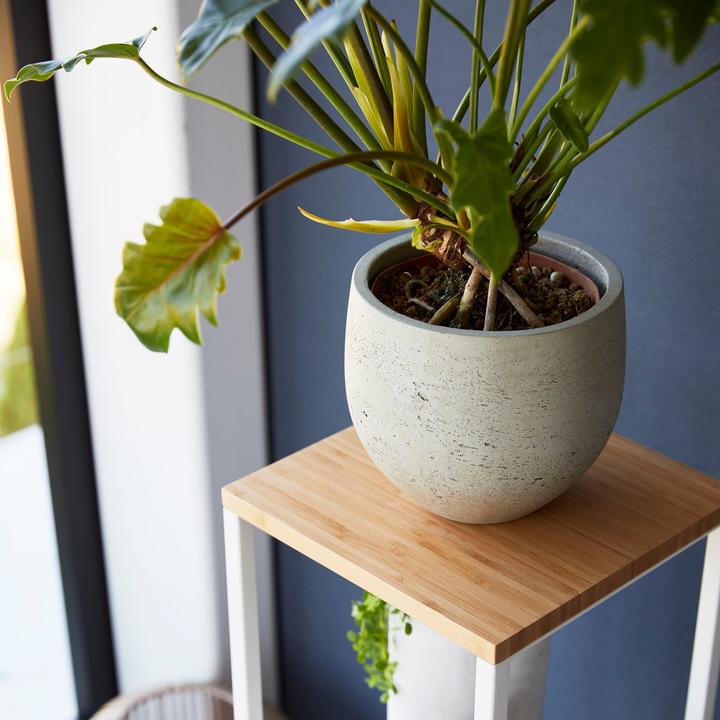 Actual product image Yamazaki 2-tier shelf with wooden top TOWER