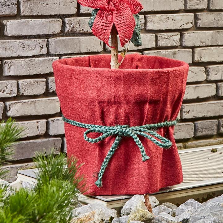 Produktbild Siena Garden Jute Kordel 2mx12mm grün (200 cm, 1.20 cm)