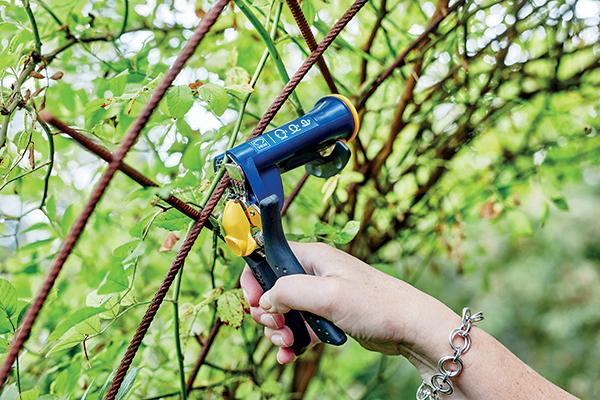 Image du produit Rapid GP238 Pince à lier (160 mm)