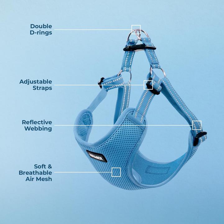 Immagine prodotto Voyager Verstellbares Hundegeschirr mit Reflektorstreifen XS (Cane)