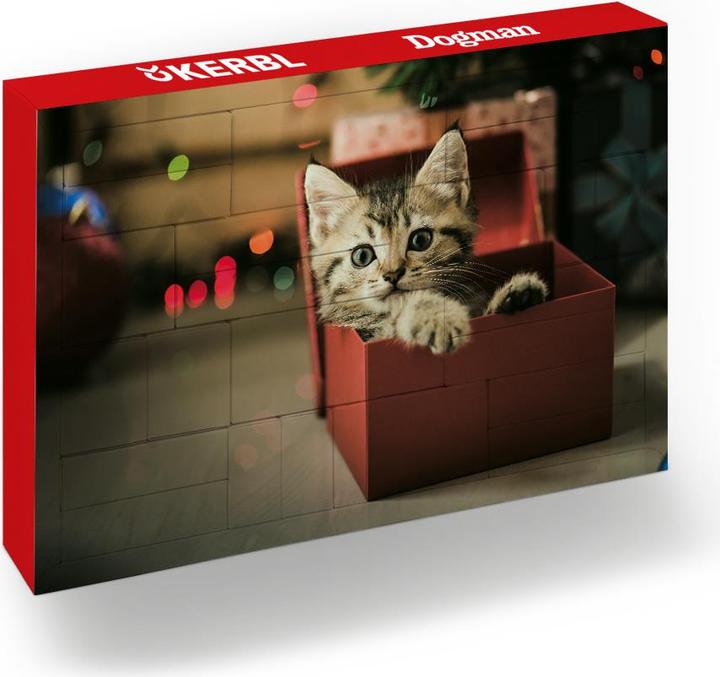 Actual product image Hauptner X-Mas Advent Calendar 2019 Cat