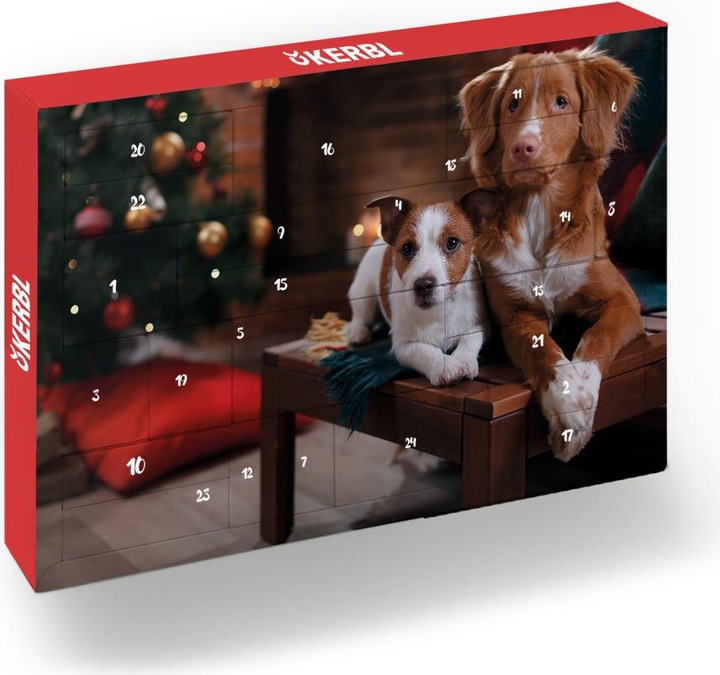 Actual product image Hauptner X-Mas Advent Calendar 2019 Dog