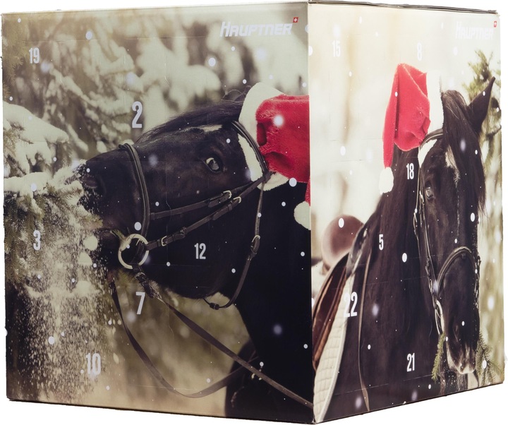Actual product image Hauptner X-Mas Advent Calendar 2019 Horse