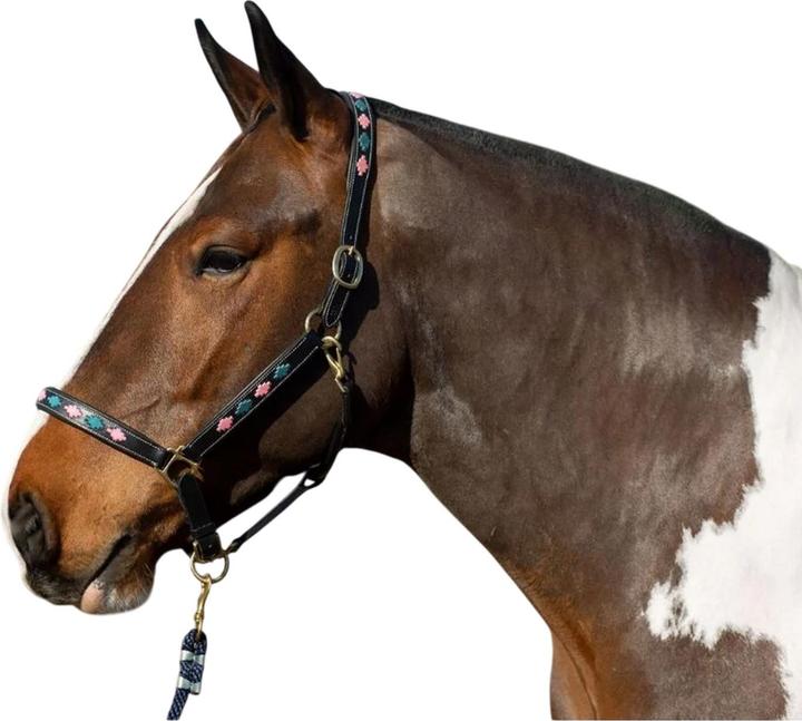 Produktbild Gallop Pferdehalfter Diamant Leder Wattiert