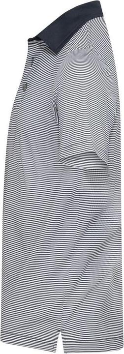 Produktbild Cutter & Buck Virtue Polo Stripes Men (L)