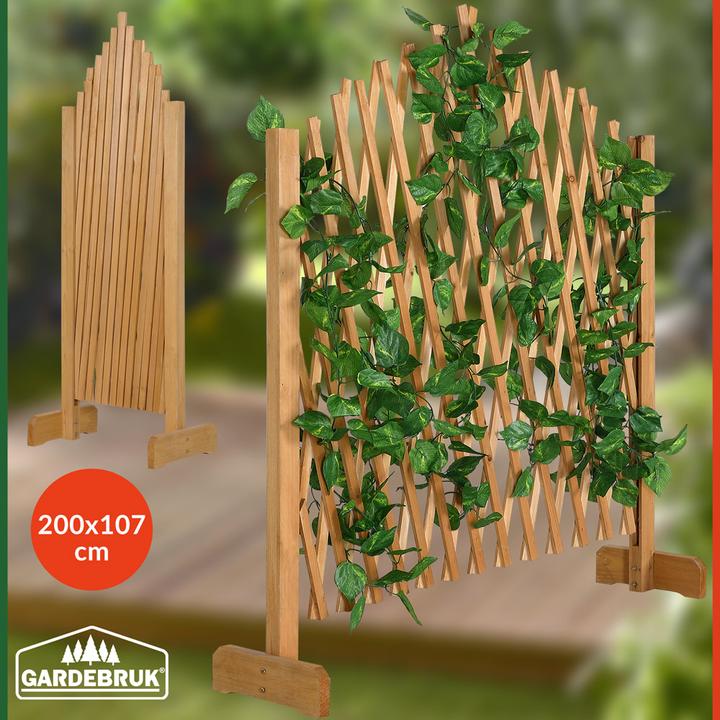 Immagine prodotto Deuba Supporto per piante rampicanti (25 cm, 100 cm)