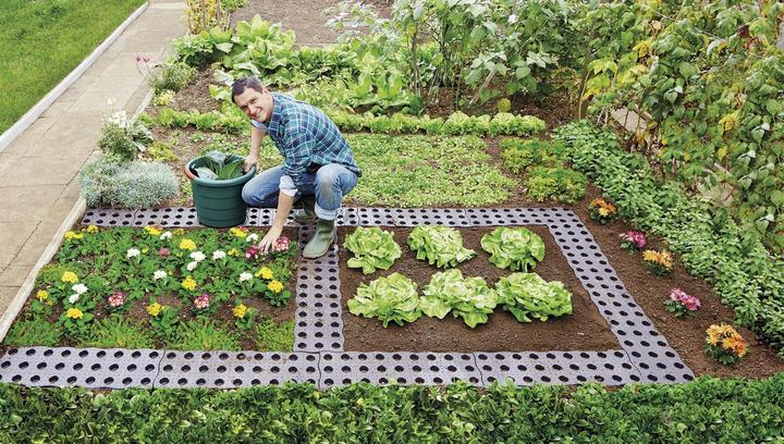 Produktbild Garantia Maxi-Beetplatte