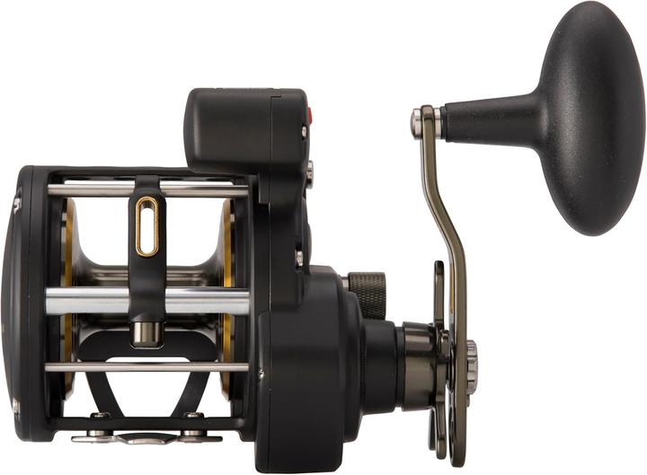 Immagine prodotto Penn Fathom II Level Wind-Multirolle