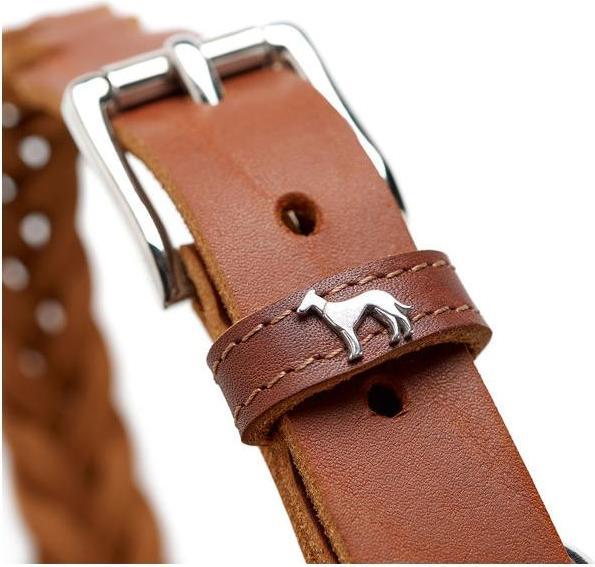 Produktbild Hunter Halsband Solid Education Special (33, 34, 35, 36, 37, 38, Hund, Hundesport)