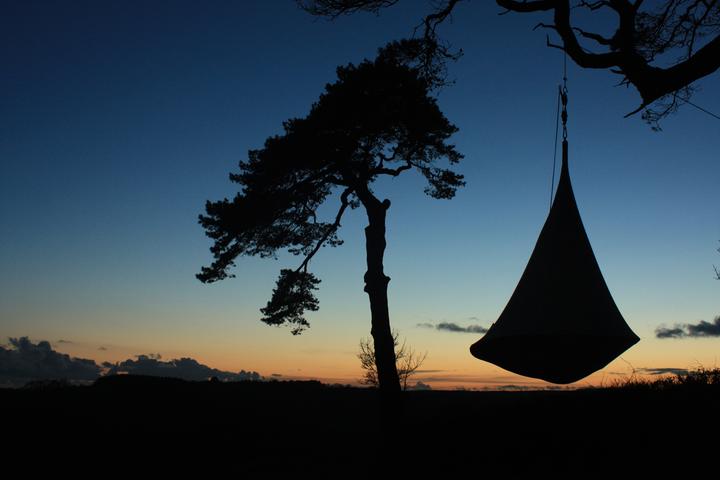 Produktbild Cacoon Single (200 kg)