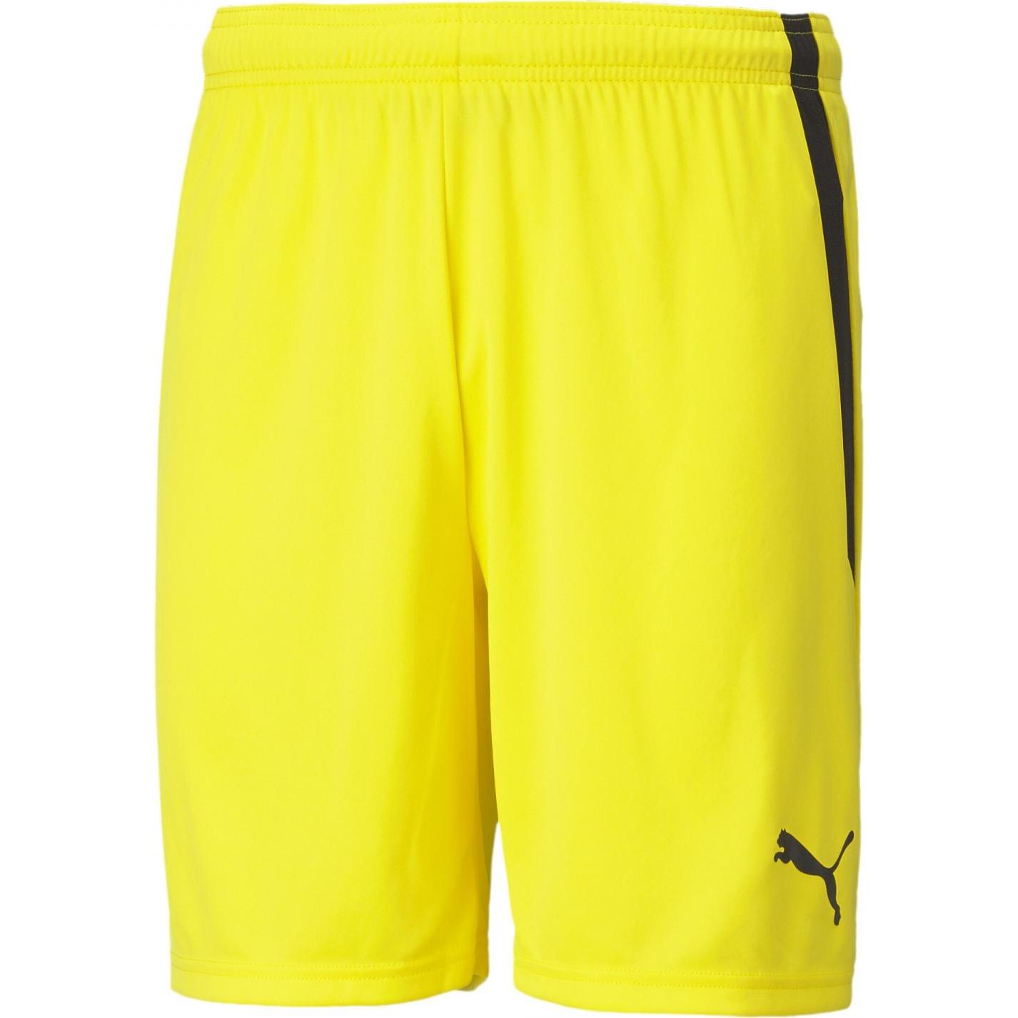 Thumbnail - Puma, Herren, Sporthose, teamLIGA Shorts-704924 (L), Schwarz, L