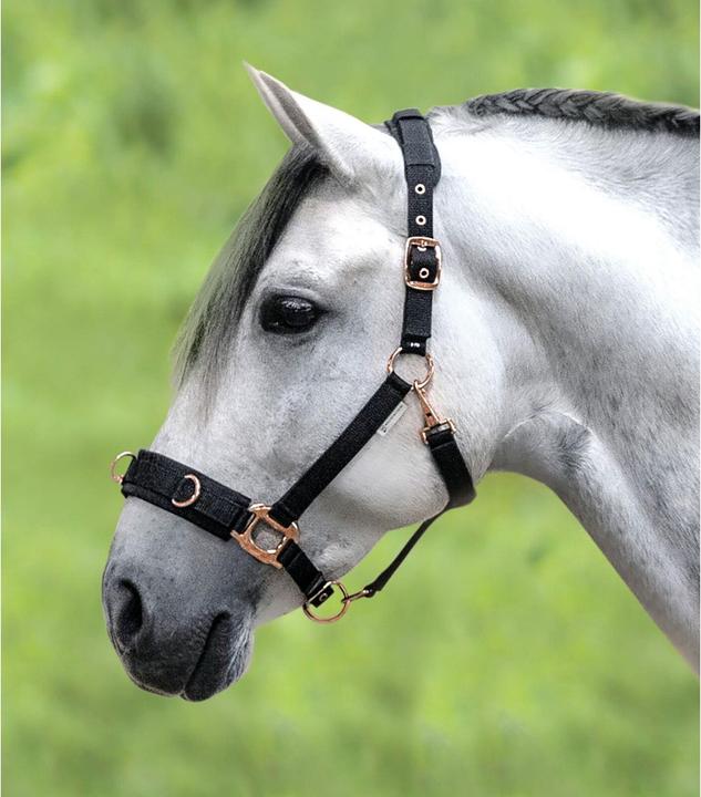 Produktbild Waldhausen Kappzaum Rosé