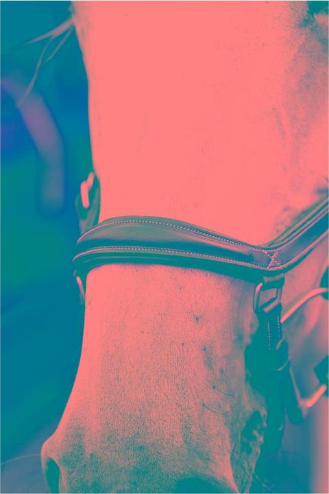 Produktbild Horseware Zaum Micklem Deluxe