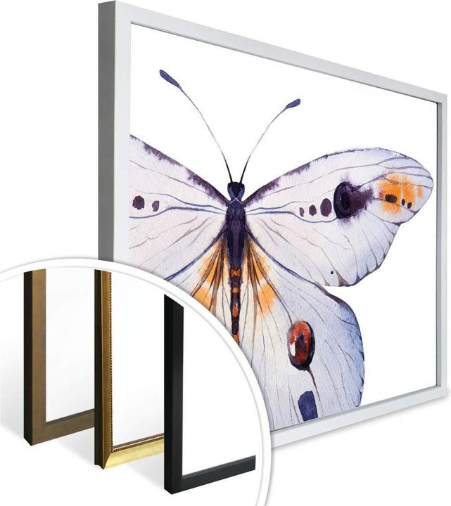 Immagine prodotto Trenddeko Kvilis - Farfalla 01 (30 x 24 cm)