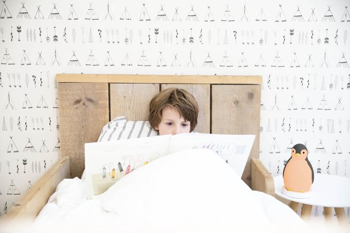 Immagine prodotto ZaZu Aiuto per il sonno Pam