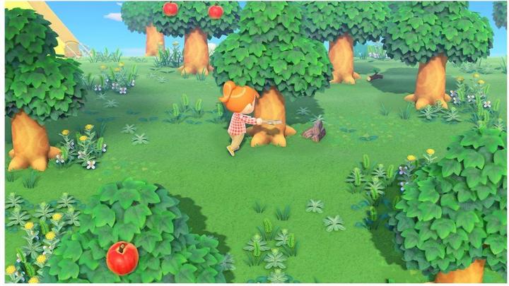 Actual product image Nintendo Animal Crossing New Horizons (Switch 2, DE, FR, IT)